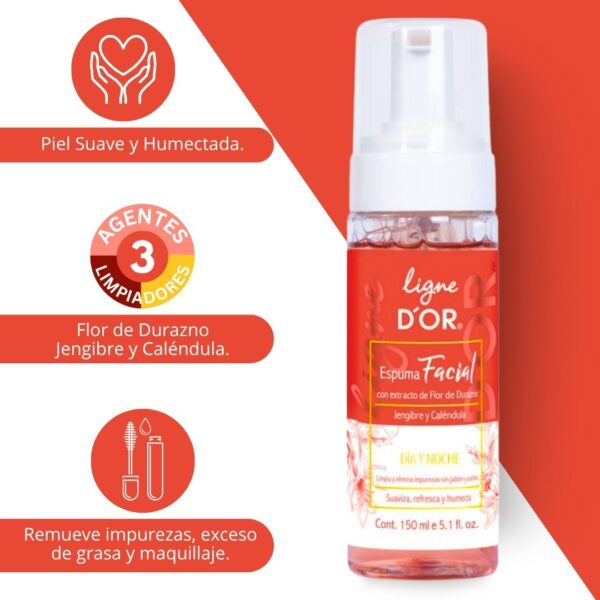 ESPUMA LIMPIADORA FACIAL LIGNE D`OR