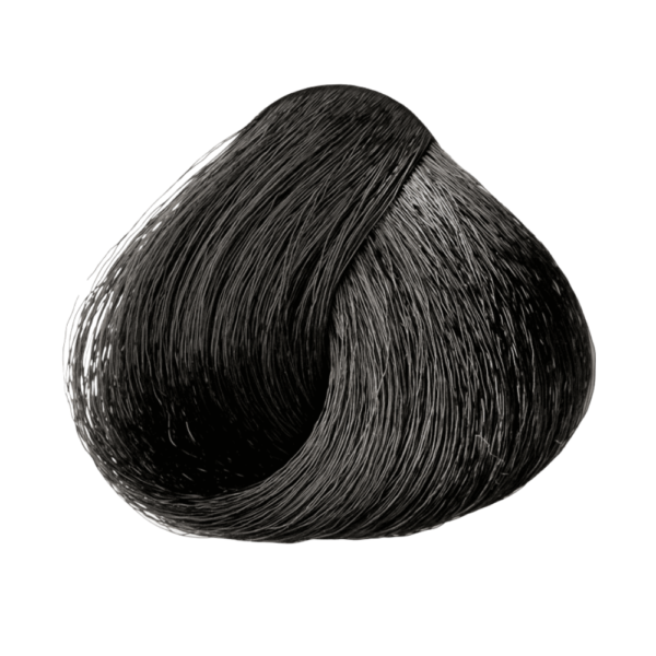 Mechon del tinte 1.0 negro intenso Muestra del tinte 1.0 negro intenso en cabello