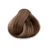 Mechon del tinte 6.1 Rubio Oscuro Cenizo Muestra del tinte 6.1 rubio oscuro cenizo en cabello