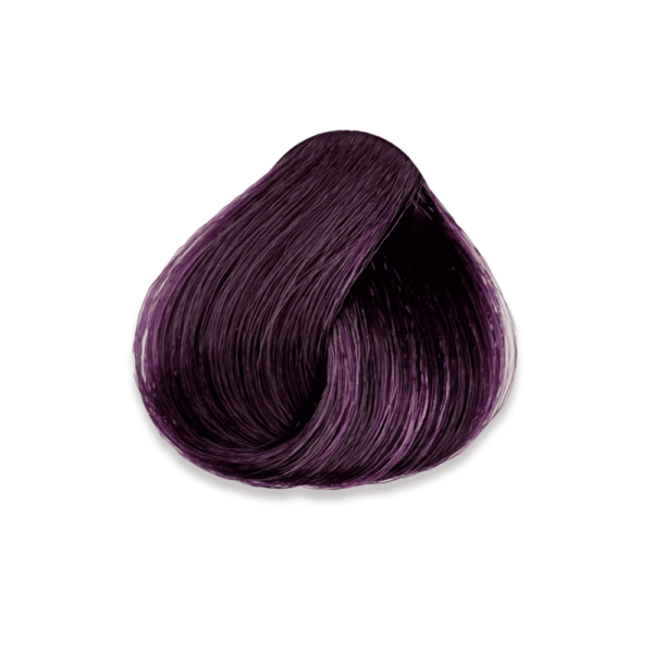 Mechon del tinte 6.22 Rubio Oscuro Violeta Muestra del tinte 6.22 rubio oscuro violeta en cabello