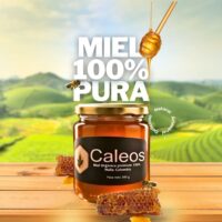 Miel de abejas 100% Organica Caleos azzoc Miel de abejas premium 100% Orgánica, miel de abejas pura sin conservantes. Envase de vidrio cilíndrico con tapa dorada en azzoc
